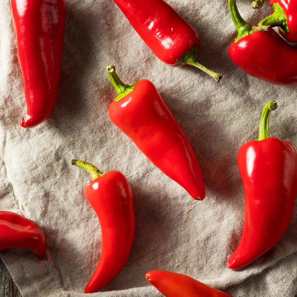 VEGSOW Fresno Chile Pepper Seeds - Heirloom Vegetable Seeds for Home Gardening