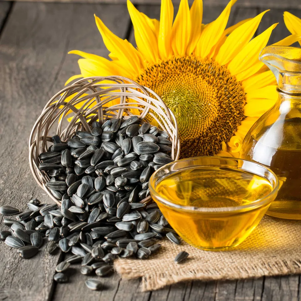 VEGSOW Black Oil Sunflower Seeds for Microgreens