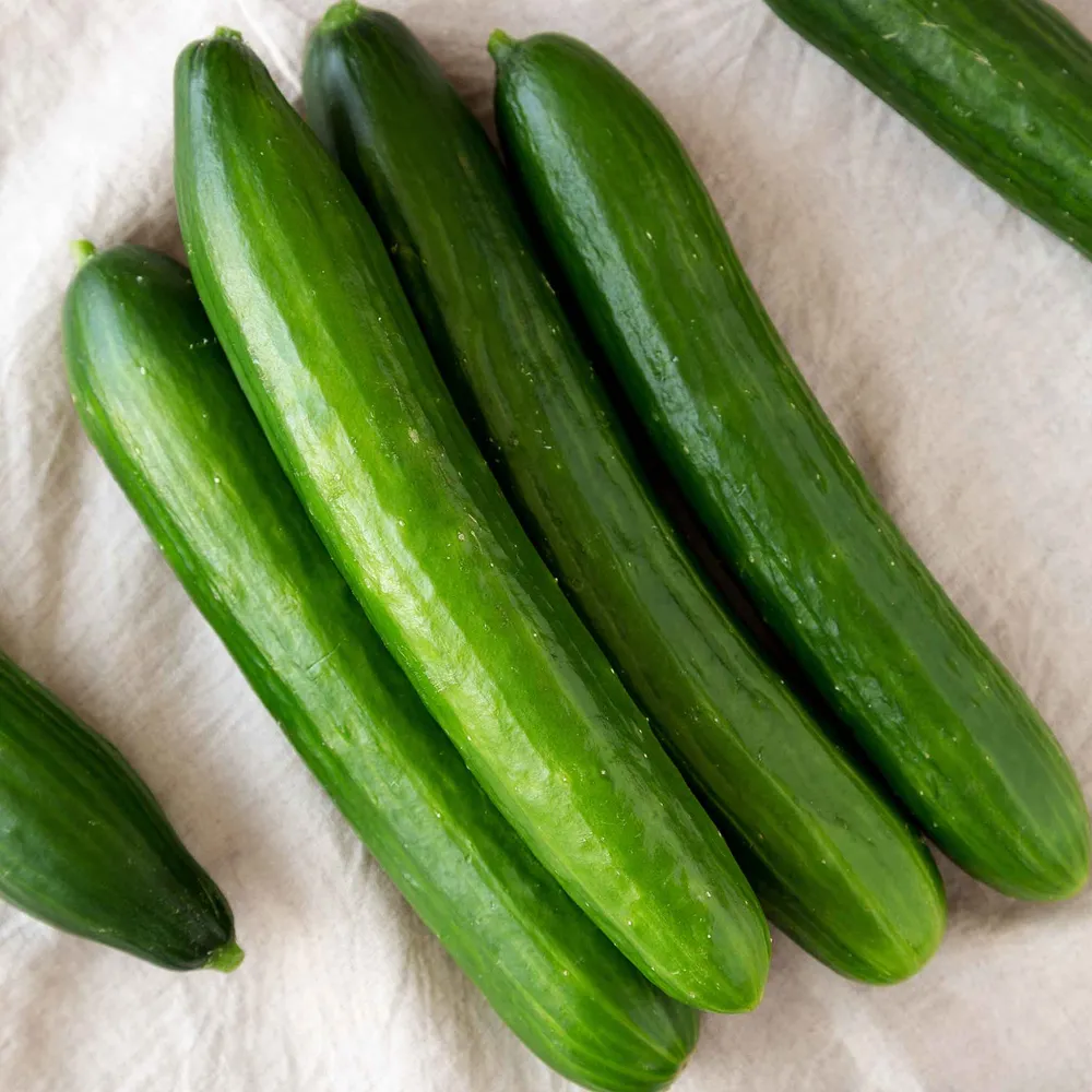 VEGSOW Cucumber Seeds - Tasty Green Heirloom Vegetable Seeds